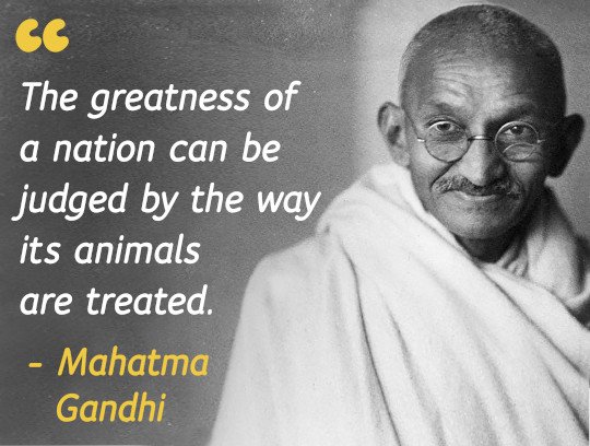Mahatma Gandhi quote - The greatness of a nation can be judged by the way its animals are treated